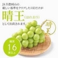【9月上旬順次発送】送料無料 岡山産 シャインマスカット 晴王 優品2房 800-900g