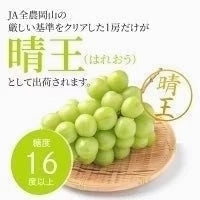 【9月上旬順次発送】送料無料 岡山産 シャインマスカット 晴王 優品2房 800-900g