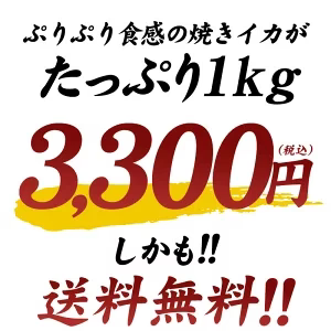 炙り焼きイカ　1kg［冷凍］【4～5営業日以内に出荷】【送料無料】