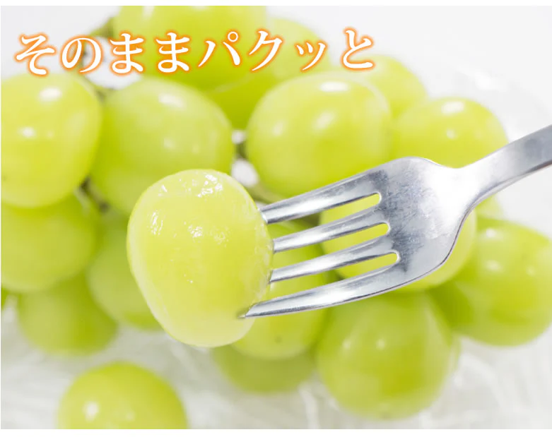 【8月中旬〜下旬頃より順次出荷】シャインマスカット ぶどう 送料無料 1kg 2〜3房