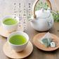 日本橋いなば園 プレミアムティーバッグ緑茶 2g×20包 メール便送料無料 お茶 ティーバック ギフト 贈り物 プレゼント 香典返し お礼 お茶 ティー ティーパック パック プチギフト 贈物 新居祝い 引越し 茶匠庵 いなば園