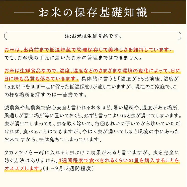 【カートアップNG】＼新米！／【令和6年産】米 10kg ひとめぼれ 送料無料 5kg×2袋