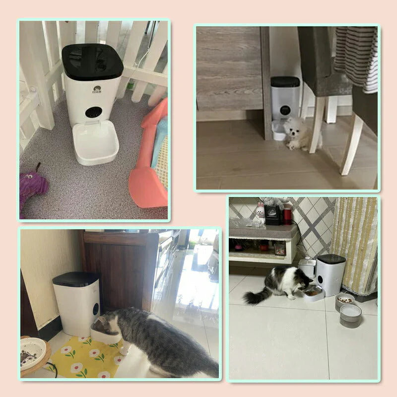 自動給餌器 カメラ付 4L大容量 猫 犬 用 ペットカメラ付 ペットフィーダー 自動餌やり機 ペットモニター 会話可 アプリで遠隔操作 タイマー設定 留守番