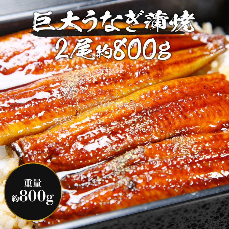 巨大うなぎ蒲焼 2尾 400g前後×2本 かばやき ウナギ うなぎ 土用丑の日 鰻蒲焼 送料無料 冷凍便 お取り寄せグルメ 食品 ギフト