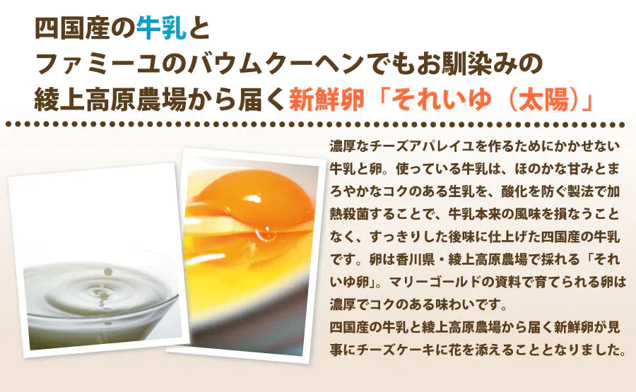 まっ黒チーズケーキMサイズ