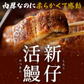 特大うなぎ蒲焼 約200gｘ10本 九州産