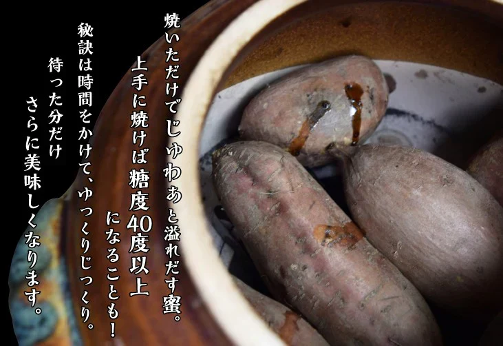 安納芋 2kg 種子島産 訳あり【2025年1月中旬より発送】