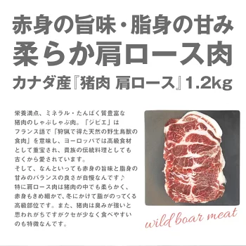 カナダ産 猪肉 肩ロース しゃぶしゃぶ用（1.5mmスライス）　約1.2kg（300g×4） ［冷凍］【3～4営業日以内に出荷】