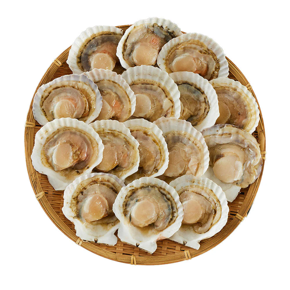 北海道産 帆立片貝 16枚(75g×16) 貝類 ホタテ【送料込み】【二重包装不可】【お届け不可地域：離島】