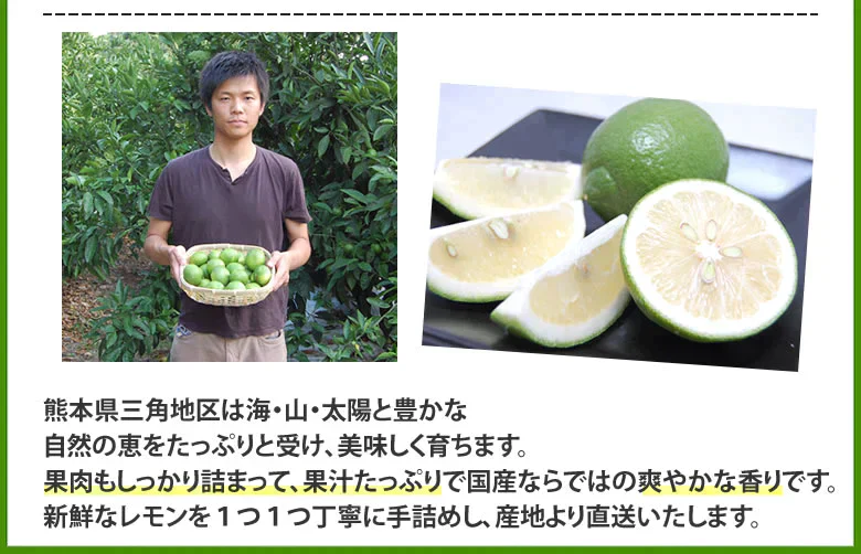 レモン 国産レモン 送料無料 4kg 2S～L  熊本県産 減農薬 防腐剤ワックス不使用 れもん グリーンレモン 国産