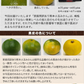 【大容量】熊本県産 訳あり 小玉 みかん 9kg 熊本 送料無料 小玉みかん ミカン フルーツ お取り寄せ 柑橘 フルーツ 果物   《9月中旬-10月中旬頃より発送予定》