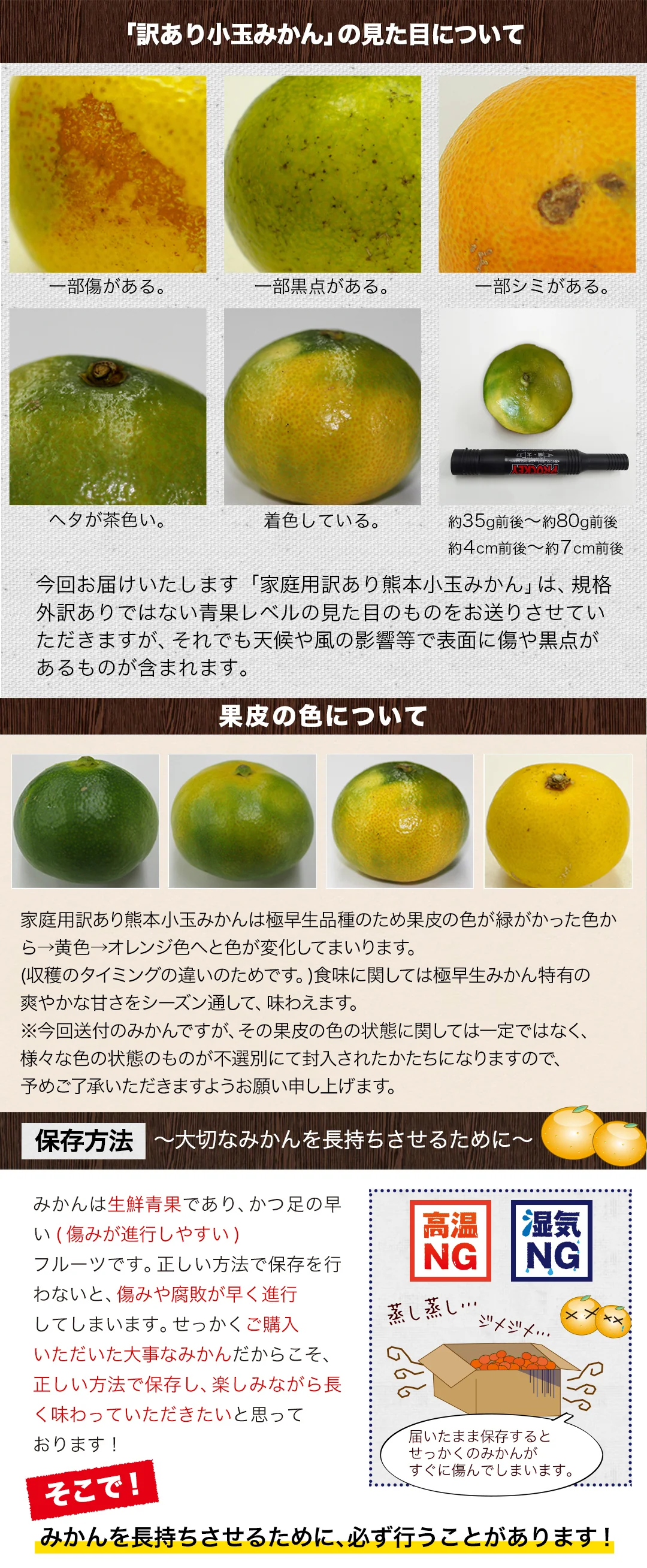 【大容量】熊本県産 訳あり 小玉 みかん 9kg 熊本 送料無料 小玉みかん ミカン フルーツ お取り寄せ 柑橘 フルーツ 果物   《9月中旬-10月中旬頃より発送予定》