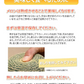 メロン 訳あり 小玉 赤肉メロン 送料無料 2玉 お取り寄せ 熊本県産 クインシーメロン フルーツ