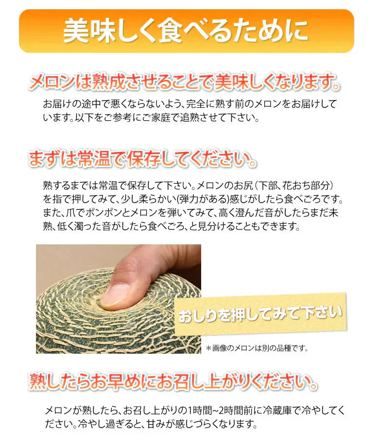 メロン 訳あり 小玉 赤肉メロン 送料無料 2玉 お取り寄せ 熊本県産 クインシーメロン フルーツ
