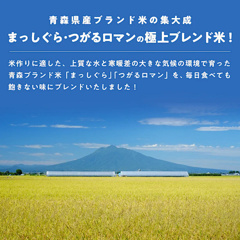 10kg (5kg×2袋) 青森県産米 生活応援米（まっしぐら・つがるロマン ブレンド）