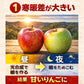 クール便　青森県産　訳あり　りんご　スマートフレッシュ！　有袋ふじ　22-46玉　10kg　　送料無料！
