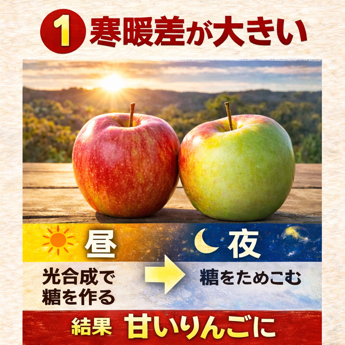 クール便　青森県産　訳あり　りんご　スマートフレッシュ！　有袋ふじ　22-46玉　10kg　　送料無料！