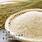 【白米】兵庫県産 キヌヒカリ 10kg(5kg×2袋) 精白米 国産 国産キヌヒカリ100％ 送料無料 精米工場からの直送品