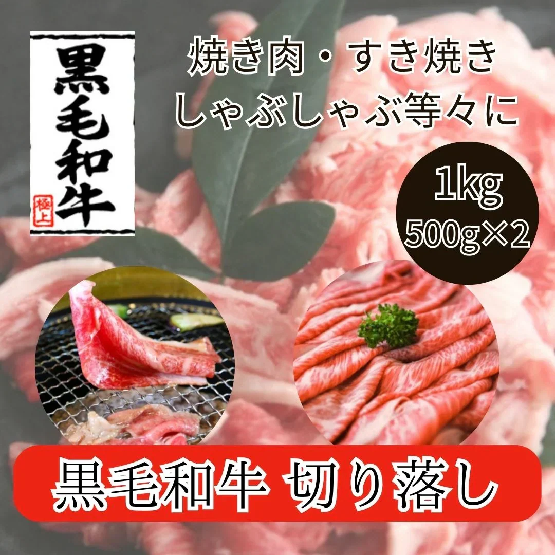 九州産 黒毛和牛 切り落とし 1kg（500g×2パック）
