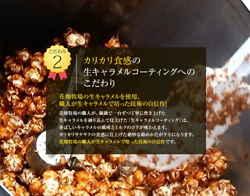 花畑牧場 生キャラメルプレミアムポップコーン 生キャラメル 100g メール便 送料無料 送料込 北海道産 お菓子 おやつ 手造り リッチ お土産 手土産 プレゼント 贈り物 お茶請け