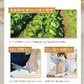 乾燥野菜 100g×2袋【青森の根菜ミックス】やさいマルシェ 無添加 簡単 無駄なし 時短 青森産 長いも 大根 人参 キャベツ ゴボウ アウトドア 災害常備菜 長期保存 食物繊維 国産
