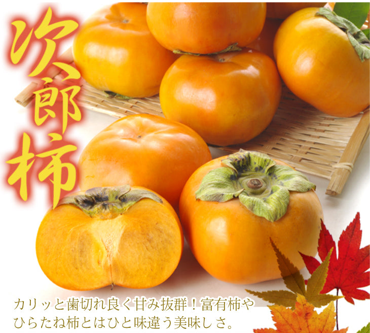 【数量限定】次郎柿 ご家庭用 約10kg 愛知産 甘柿（発送予定：10月下旬より）