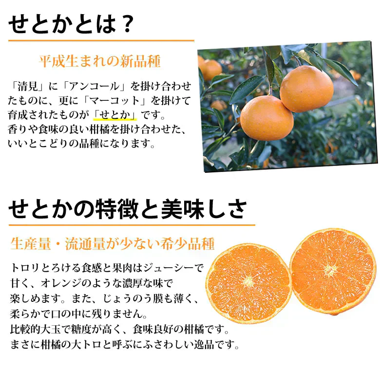 せとか みかん 送料無料 ハウス栽培 秀品 2kg 希少品種 熊本県産 蜜柑 清見 アンコール マーコット