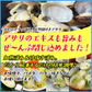 天然 殻付きアサリの旨味ボイル どっさり1kg 冷凍食品 あさり 貝 かい カイ 浅利
