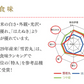 新米 令和5年産 山形県産 雪若丸 精米 10kg(5kg×2) 送料無料※一部地域を除く