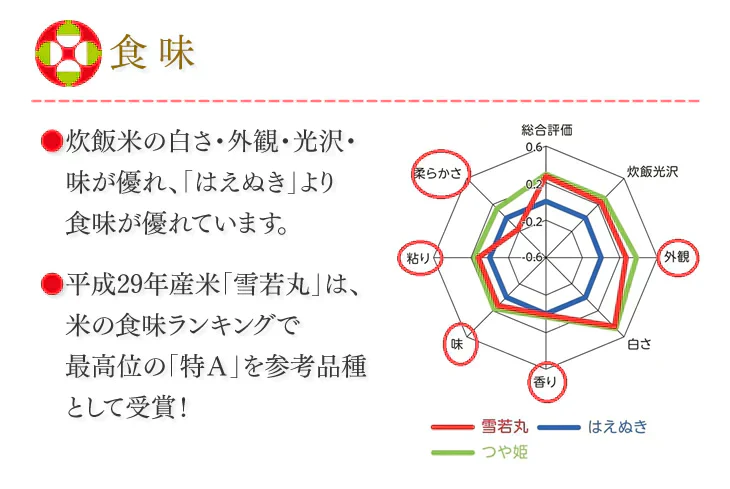 新米 令和5年産 山形県産 雪若丸 精米 10kg(5kg×2) 送料無料※一部地域を除く