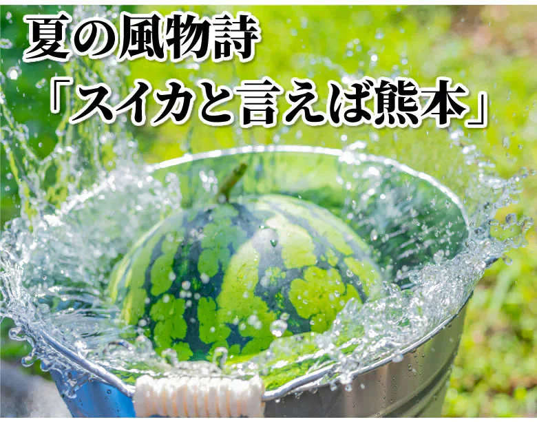 すいか 送料無料 訳あり 小玉すいか 2玉 約2～2.5kg スイカ 熊本すいか お取り寄せ すいか 西瓜 ひとりじめ 果物 フルーツ