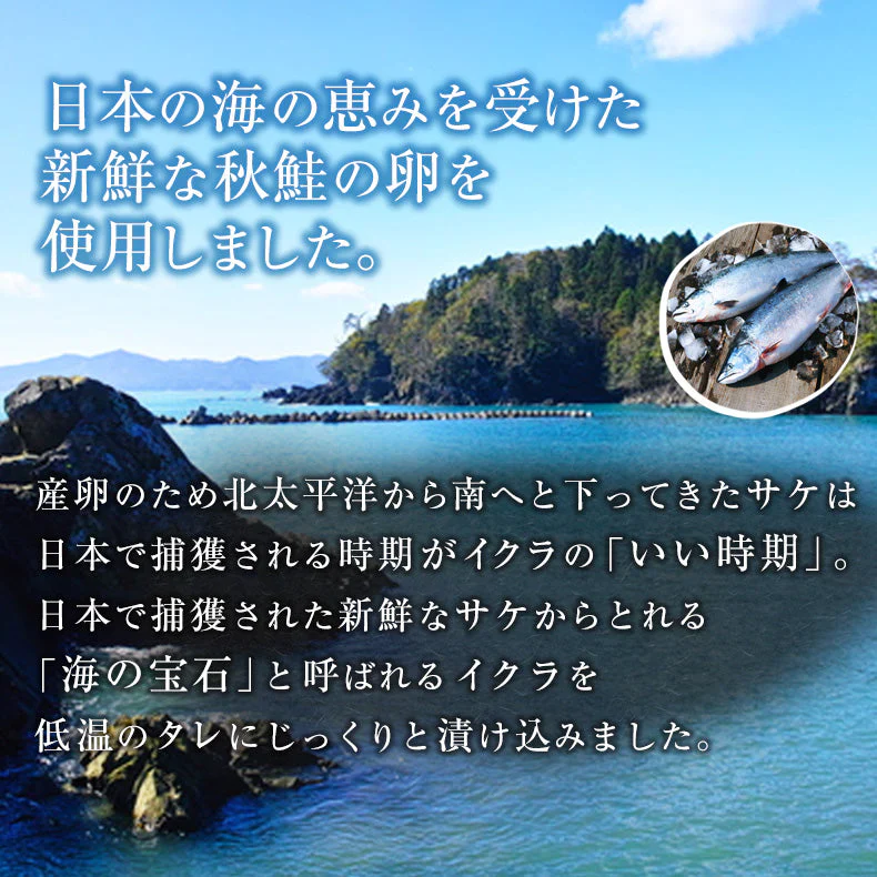 いくら 国産 イクラ醤油漬け 500g 250g×2 最高級3特グレード