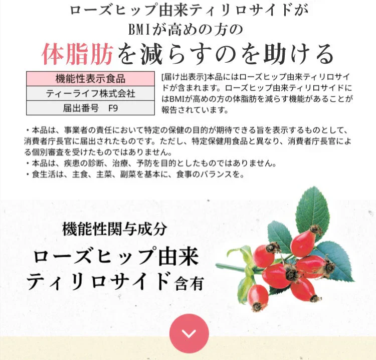 体脂肪が気になる方のプーアール茶　ヘルシーボ　30個入（ 4ｇティーバッグ ×30個入 約60～90杯分 機能性表示食品 健康茶 お茶 ローズヒップエキス ）