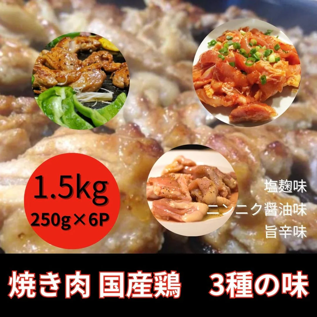 焼き肉 / BBQ用 3種の国産鶏もも肉 1.5kg（塩麹味・旨辛味・にんにく醤油）