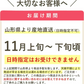 【11月上旬-下旬頃ご注文受付順次】訳あり庄内柿バラ詰め2.5kg前後　種なし柿を産地直送でお届け！ご家庭用にちょっと訳あり柿