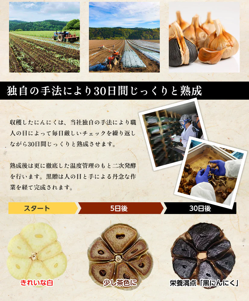 青森県産熟成黒にんにく 黒贈 2kg