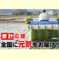 令和7年産入り 国産ブレンド米 30kg （10kgx3袋）
