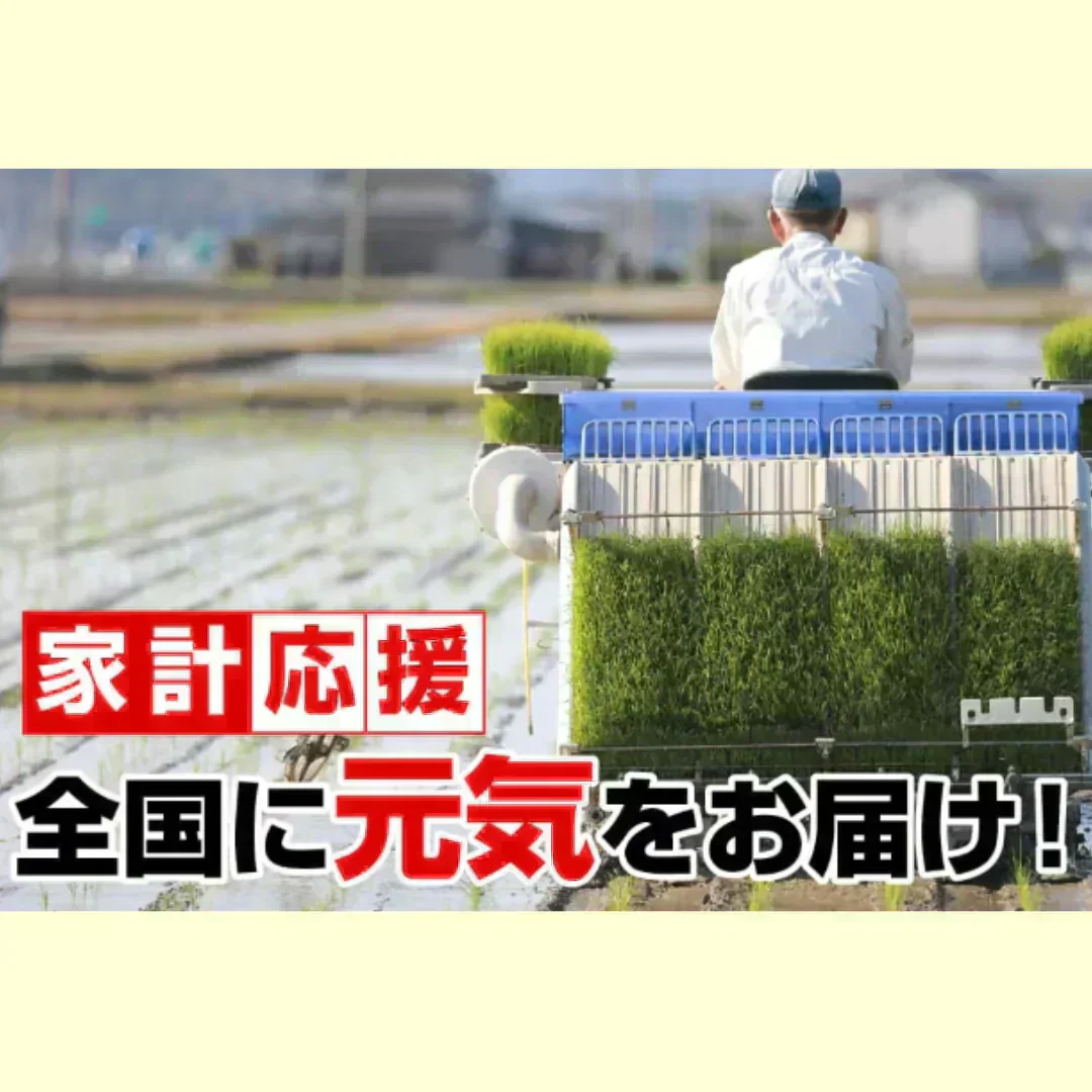 令和7年産入り 国産ブレンド米 30kg （10kgx3袋）