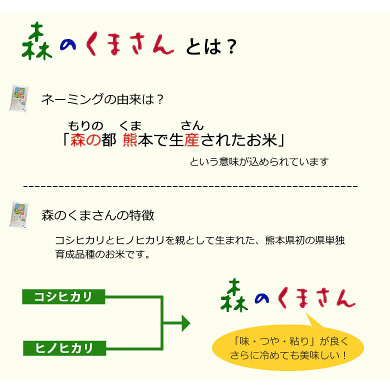 森のくまさん 米 送料無料 15kg(5kg×3) 令和5年産 新米 熊本県産 白米 お米 こめ 新米 ひのひかり こしひかり
