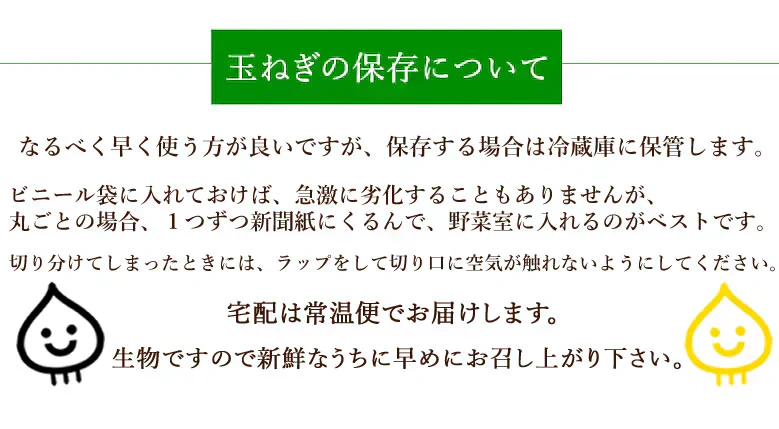 玉ねぎ サラダ玉ねぎ 訳あり 送料無料 10kg 箱込 (内容量9kg+不良補償分500g)  2S〜3L 熊本県産 お取り寄せ お取り寄せグルメ 玉葱 たまねぎ 野菜