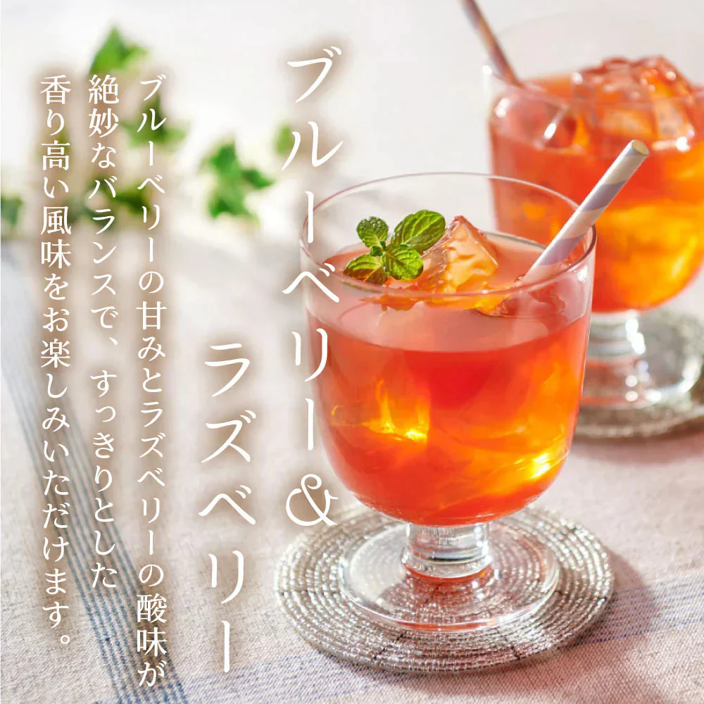 【送料無料】ブルーベリー＆ラズベリーＳＰ 10個セット　まとめ買い ジュース ブルーベリー ラズベリー ホット アイス 粉末飲料 個包装 スティック 粉末清涼飲料 便利 簡単 ホット アイス おうち時間 送料無料 不二食品