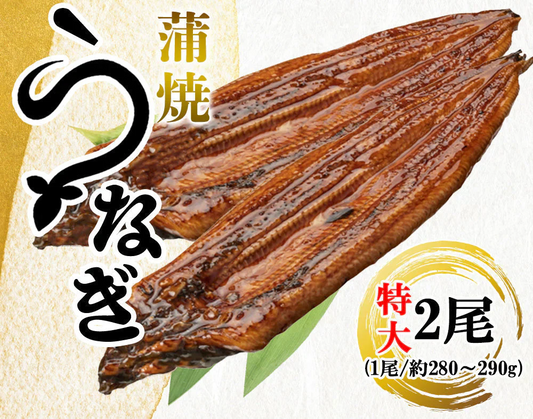 うなぎ蒲焼 鰻蒲焼 2尾 送料無料 特大サイズ 蒲焼 土用の丑の日 うなぎ ウナギ 鰻 中国産 メーカー直送 shr-021