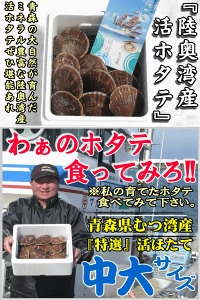 青森 活ほたて 殻付き 中大2キロ（約12枚～18枚）【冷蔵便】 養殖　奇跡の海『むつ湾』からホタテ漁師が贈る逸品