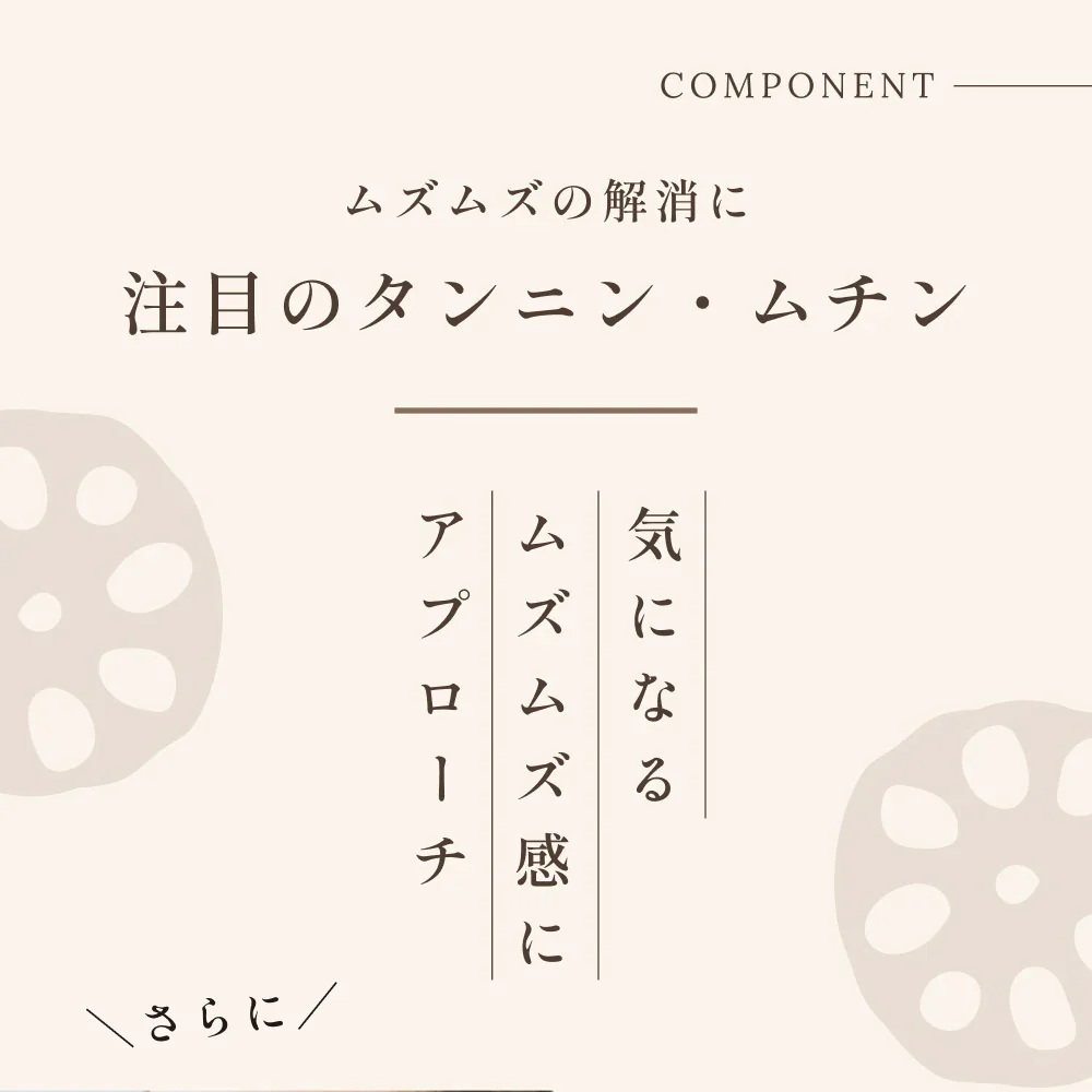 風土日和 国産れんこんパウダー 無農薬 無添加 70g 賞味期限：2024年6月5日 カウシェ限定 | オーガライフ