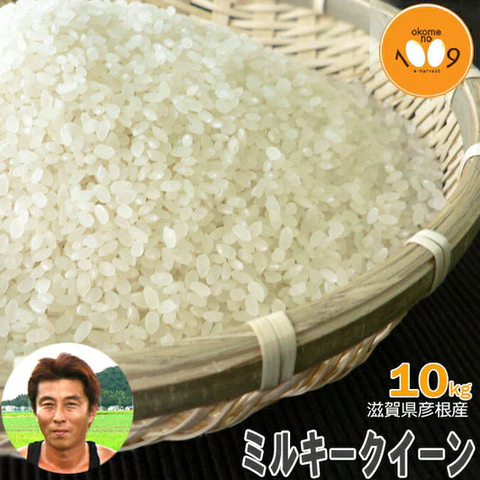 新米 滋賀県彦根産 ミルキークイーン 白米 10kg 令和7年産 西村悟
