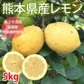 レモン 訳あり 国産レモン 送料無料 5kg 熊本県産 減農薬 防腐剤ワックス不使用 れもん グリーンレモン 国産