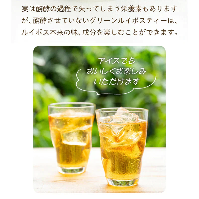 ゴールデングリーンルイボスティー50個入　水出し ティーバッグ ハーブティー ノンカフェイン お茶