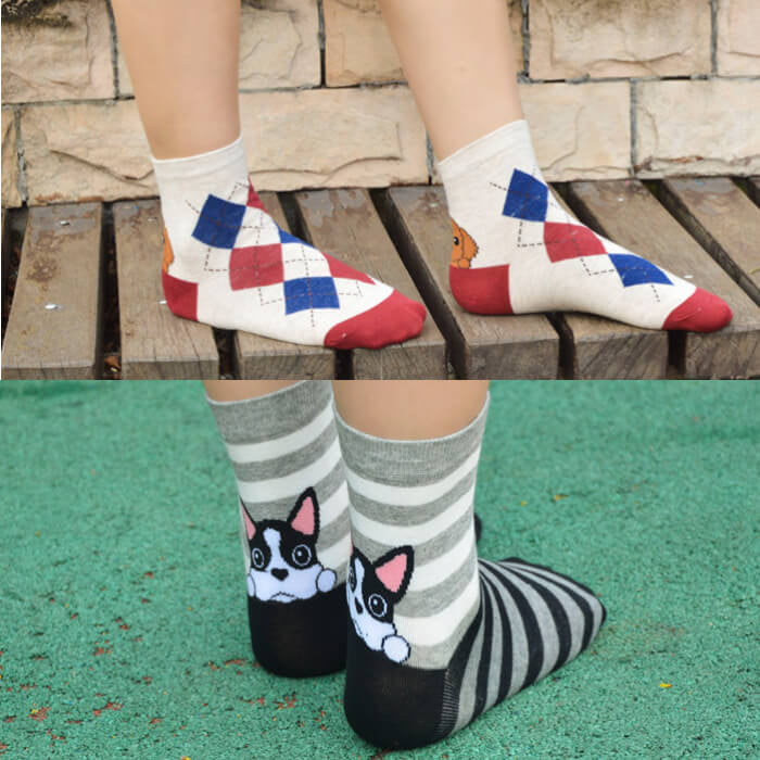 【予約商品・発送時期は商品説明に記載】犬 靴下 6足セット 犬柄 イヌソックス かわいい ボーダー ショートソックス いぬ 靴下 くつ下 ソックス カジュアル 人気 アーガイル 肉球 ランキング 春 夏 秋 冬 女性 レディース 子供 送料無料 ギフト プレゼント