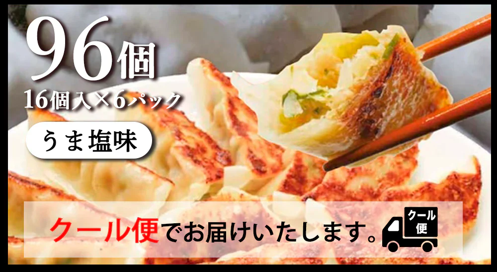 ぎょうざ 太宰府ぎょうざ うま塩 餃子 96個 270g 送料無料 にんにく 中華 冷凍食品 お取り寄せ ギフト おかず 冷凍餃子  福岡県産 rep-002