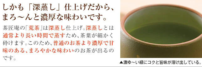 【2個セット】日本橋いなば園 静岡深蒸し茶 荒茶づくり 100g ネコポス メール便送料無料